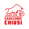 BASKET CHIUSI Team Logo